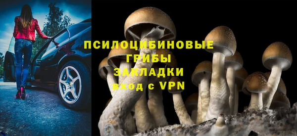 винт Беломорск
