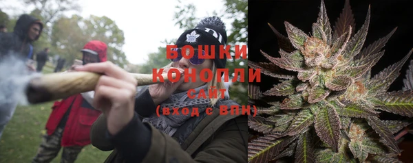 дмт Белокуриха
