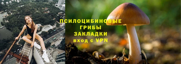винт Беломорск
